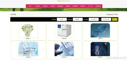 基于Node.js與Vue.js的科研實驗室門戶網站設計與實現